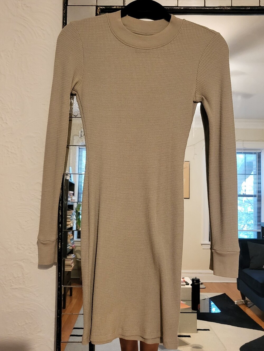 Aritzia TNA long sleeve dress